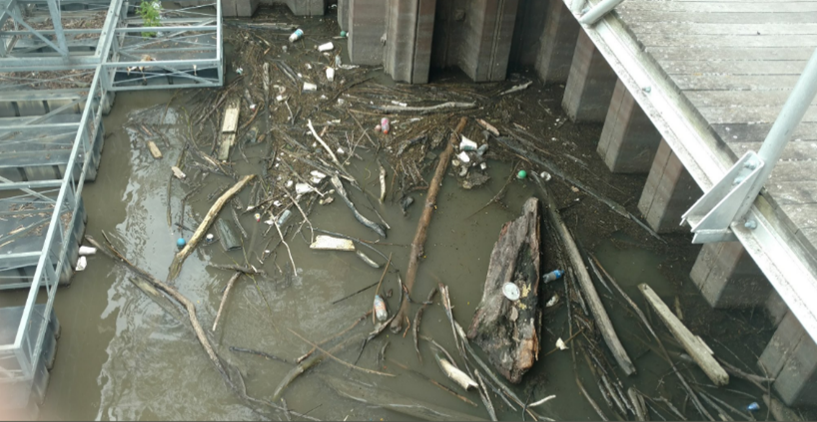 Debris in Lower Peoria Lake