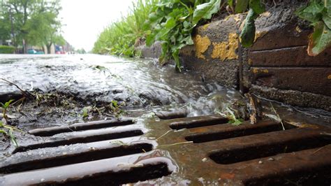 Stormwater flowing into storm sewer grate